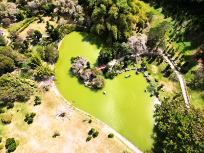 Entrada gratuita y caminata ecológica en el Jardín Botánico Nacional por el Día Mundial del Medio Ambiente