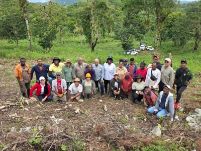 Siembra experimental para restauración en la Finca Catheline, Bahoruco Oriental