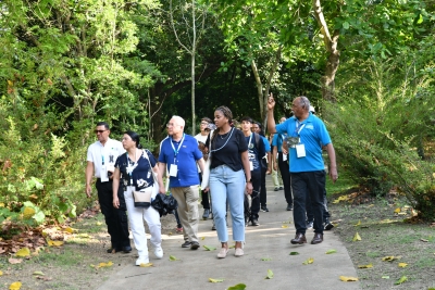Conexión y naturaleza en el cuarto día del Congreso Puentes Botánicos